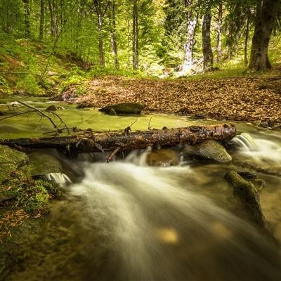 澳门黄金城手机app下载